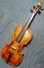 Violino